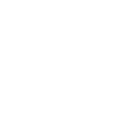 Sarkaar Music